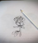 Cum să desenezi un trandafir