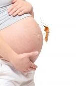 Virusul Zika în sarcină