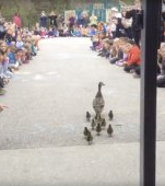 Cel mai drăguț video pe care îl vei vedea astăzi