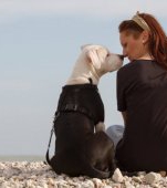 Pupicii animalului tău de companie te pot îmbolnăvi