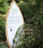 Sănătatea prinde rădăcini în ”Grădina cu remedii”, un proiect marca Secom 