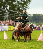 Poneii vor face spectacol la Karpatia Pony Show 2017