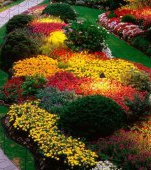 Flori, culori și piatră naturală pentru grădina ta 
