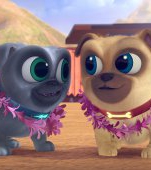 Disney Junior anunță premiera serialului animat “Prietenii cățeluși”, pe 9 octombrie