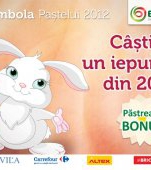 Profesorul Garfield si Targul de Antichitati - atractiile weekend-ului la Oradea