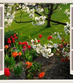 7 flori de primăvară cu bulbi pe care le poți planta în grădină sau în fața blocului
