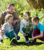 10 activități de familie pe care le puteți face ca să protejați natura