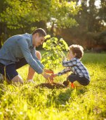 Învață-l pe copilul tău despre plante și copaci cu plușații Plantela și Copăcescu