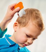 Mare atenție! Invazie de păduchi în școlile din Capitală! 