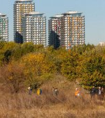  Banca Transilvania și Asociația Parcul Natural Văcărești lansează programul de voluntariat “Fii Ranger Urban!”