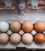 Alertă! Sute de mii de ouă contaminate au ajuns pe mesele românilor