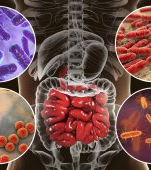 Studiu controversat: simptomele autismului pot fi reduse cu 50% cu transplantul de fecale