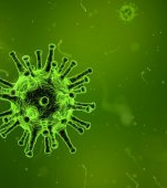 Epidemie de rujeolă! Sute de noi cazuri confirmate în ultimele săptămâni