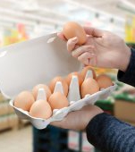 APC: Ouăle sunt considerate extra proaspete în primele 9 zile de la data ouatului!