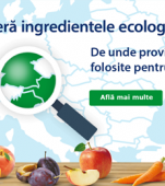 Bananele ecologice – ce este mai bun pentru copilul tău!