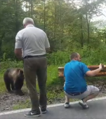 Acești părinți si-au pus copilul să facă un selfie cu ursul. Ce a pățit minorul