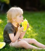 Pepenele gaben poate fi periculos pentru copii! Cum îl servești corect