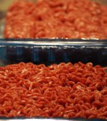 ALERTĂ ALIMENTARĂ! 160 de persoane infectate și 23 de gravide internate în spital din cauza cărnii tocate de porc