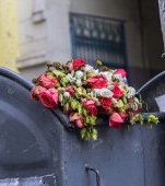 Ce s-a întâmplat cu florile pe care părinții au dat bani (nu puțini!) în prima zi de școală