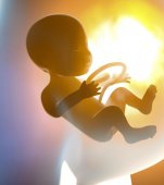 Scrisoarea unui bebeluș avortat către mama lui