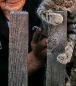 Fotografia care a înduioșat România! Simbolul bunicilor rămași singuri, părăsiți de copii și nepoți