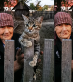 Fotografia care a înduioșat România! Simbolul bunicilor rămași singuri, părăsiți de copii și nepoți