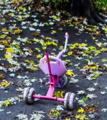 Un nou caz zguduie România: fetiță răpită de la locul de joacă și violată de doi bărbați