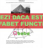 Cum arată un test PISA. Tu știi să îl rezolvi?