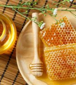Tot ce trebuie să știi despre terapiile naturale cu miere și propolis