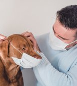 Covid-19 se transmite și la animale. Iată care sunt cele mai vulnerabile și cum le poți proteja