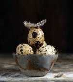 Cura cu ouă de prepeliță: contraindicații și eficiență