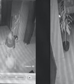 Video șocant! O mamă din Timiș și-a aruncat bebelușul de 2 luni pe podea