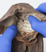 Angajații muzeului Auschwitz au descoperit o inscripție emoționantă în pantofii unui copil care a trăit în lagăr
