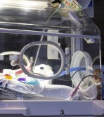 30 de bebeluşi au murit în spital! Ce se întâmplă la secţia de terapie intensivă de la Marie Curie