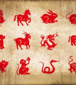 Zodiac chinezesc LUNAR octombrie 2021. Noi energii interpretate de inteleptii din Orient pentru zodia ta!