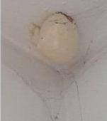 Un ou bizar a apărut pe tavanul camerei fiului meu. Aveți idee ce este?