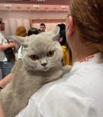 "Breeding" sau ce înseamnă să fii crescător