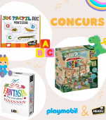 Regulament concurs Playmobil