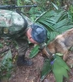 Patru copii au supraviețuit timp de 17 zile în pădure după prăbușirea avionului în care se aflau