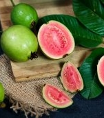 Guava: beneficii, proprietăți și moduri de consum