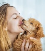 Ce simt câinii când îi pupi și alte explicații care te vor ajuta să îți înțelegi animalul de companie