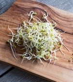Spermidina: ce este și când este recomandată?