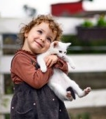 Viața de vis ...pentru pisica ta: mâncare de calitate, joacă și un colț liniștit în casă