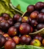Camu camu: beneficii și idei de consum