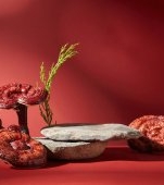 Ciuperca Reishi: beneficii și mod de administrare