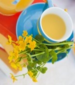 Ceai de untișor: beneficii și mod de preparare