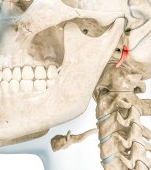 Micrognație: ce este și cum se tratează?