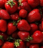 Fisetina: beneficii și mod de utilizare