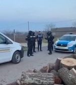 Un copil de 3 ani din Tulcea a fost ucis în bătaie de concubinul mamei sale. Cei doi plănuiau să ascundă crima și să-l îngroape în grădină