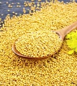 Boabe de muștar: beneficii și recomandări